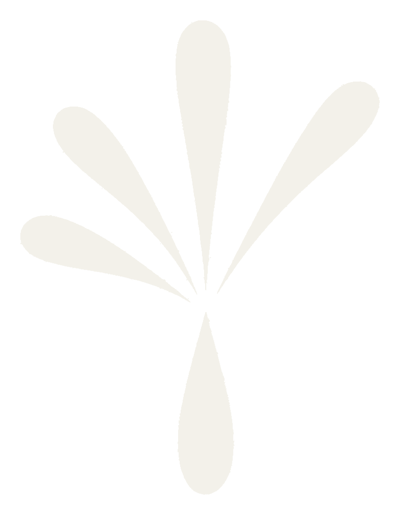 Seed Mission
